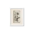 Picture of Vintage Flower I _GroupedProduct_Rectangle_Portrait_Framed_Matted_