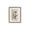 Picture of Vintage Flower I _GroupedProduct_Rectangle_Portrait_Framed_Matted_