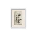 Picture of Vintage Flower I _GroupedProduct_Rectangle_Portrait_Framed_Matted_