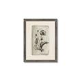 Picture of Vintage Flower I _GroupedProduct_Rectangle_Portrait_Framed_Matted_
