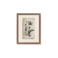 Picture of Vintage Flower I _GroupedProduct_Rectangle_Portrait_Framed_Matted_