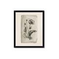 Picture of Vintage Flower I _GroupedProduct_Rectangle_Portrait_Framed_Matted_