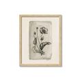 Picture of Vintage Flower I _GroupedProduct_Rectangle_Portrait_Framed_Matted_