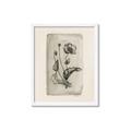 Picture of Vintage Flower I _GroupedProduct_Rectangle_Portrait_Framed_Matted_