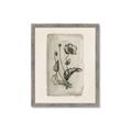 Picture of Vintage Flower I _GroupedProduct_Rectangle_Portrait_Framed_Matted_