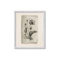 Picture of Vintage Flower I _GroupedProduct_Rectangle_Portrait_Framed_Matted_