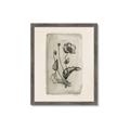 Picture of Vintage Flower I _GroupedProduct_Rectangle_Portrait_Framed_Matted_