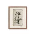 Picture of Vintage Flower I _GroupedProduct_Rectangle_Portrait_Framed_Matted_