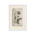 Picture of Vintage Flower I _GroupedProduct_Rectangle_Portrait_Framed_Matted_