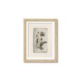 Picture of Vintage Flower I _GroupedProduct_Rectangle_Portrait_Framed_Matted_