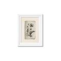 Picture of Vintage Flower I _GroupedProduct_Rectangle_Portrait_Framed_Matted_
