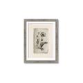 Picture of Vintage Flower I _GroupedProduct_Rectangle_Portrait_Framed_Matted_