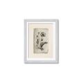 Picture of Vintage Flower I _GroupedProduct_Rectangle_Portrait_Framed_Matted_