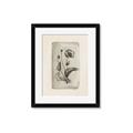 Picture of Vintage Flower I _GroupedProduct_Rectangle_Portrait_Framed_Matted_