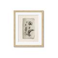 Picture of Vintage Flower I _GroupedProduct_Rectangle_Portrait_Framed_Matted_