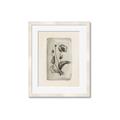 Picture of Vintage Flower I _GroupedProduct_Rectangle_Portrait_Framed_Matted_