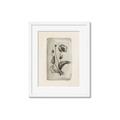 Picture of Vintage Flower I _GroupedProduct_Rectangle_Portrait_Framed_Matted_