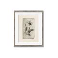 Picture of Vintage Flower I _GroupedProduct_Rectangle_Portrait_Framed_Matted_