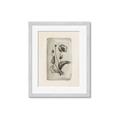 Picture of Vintage Flower I _GroupedProduct_Rectangle_Portrait_Framed_Matted_