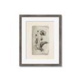 Picture of Vintage Flower I _GroupedProduct_Rectangle_Portrait_Framed_Matted_