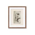 Picture of Vintage Flower I _GroupedProduct_Rectangle_Portrait_Framed_Matted_