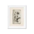 Picture of Vintage Flower I _GroupedProduct_Rectangle_Portrait_Framed_Matted_