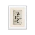 Picture of Vintage Flower I _GroupedProduct_Rectangle_Portrait_Framed_Matted_