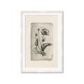 Picture of Vintage Flower I _GroupedProduct_Rectangle_Portrait_Framed_Matted_