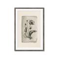 Picture of Vintage Flower I _GroupedProduct_Rectangle_Portrait_Framed_Matted_