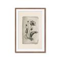 Picture of Vintage Flower I _GroupedProduct_Rectangle_Portrait_Framed_Matted_