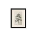 Picture of Vintage Flower II _GroupedProduct_Rectangle_Portrait_Framed_Matted_