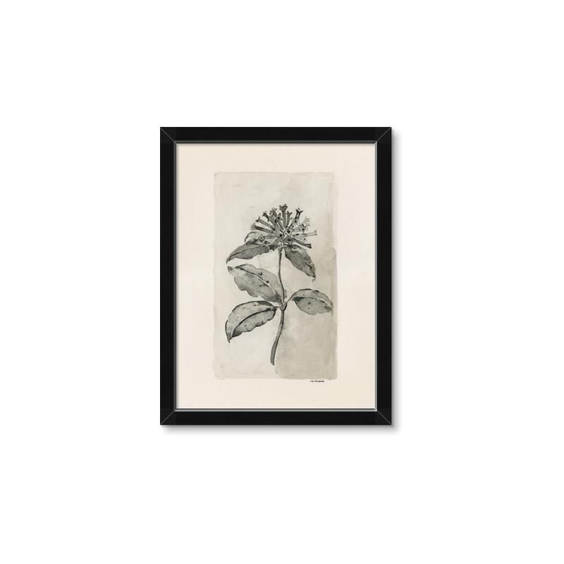 Picture of Vintage Flower II _GroupedProduct_Rectangle_Portrait_Framed_Matted_