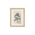 Picture of Vintage Flower II _GroupedProduct_Rectangle_Portrait_Framed_Matted_