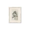Picture of Vintage Flower II _GroupedProduct_Rectangle_Portrait_Framed_Matted_
