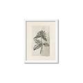 Picture of Vintage Flower II _GroupedProduct_Rectangle_Portrait_Framed_Matted_