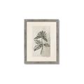 Picture of Vintage Flower II _GroupedProduct_Rectangle_Portrait_Framed_Matted_