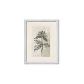 Picture of Vintage Flower II _GroupedProduct_Rectangle_Portrait_Framed_Matted_