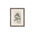 Picture of Vintage Flower II _GroupedProduct_Rectangle_Portrait_Framed_Matted_