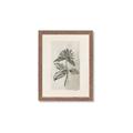 Picture of Vintage Flower II _GroupedProduct_Rectangle_Portrait_Framed_Matted_