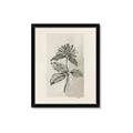Picture of Vintage Flower II _GroupedProduct_Rectangle_Portrait_Framed_Matted_