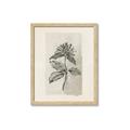 Picture of Vintage Flower II _GroupedProduct_Rectangle_Portrait_Framed_Matted_