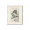 Picture of Vintage Flower II _GroupedProduct_Rectangle_Portrait_Framed_Matted_