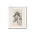 Picture of Vintage Flower II _GroupedProduct_Rectangle_Portrait_Framed_Matted_