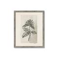 Picture of Vintage Flower II _GroupedProduct_Rectangle_Portrait_Framed_Matted_