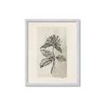 Picture of Vintage Flower II _GroupedProduct_Rectangle_Portrait_Framed_Matted_