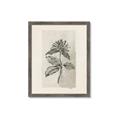 Picture of Vintage Flower II _GroupedProduct_Rectangle_Portrait_Framed_Matted_