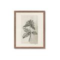 Picture of Vintage Flower II _GroupedProduct_Rectangle_Portrait_Framed_Matted_