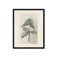 Picture of Vintage Flower II _GroupedProduct_Rectangle_Portrait_Framed_Matted_