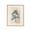 Picture of Vintage Flower II _GroupedProduct_Rectangle_Portrait_Framed_Matted_