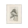 Picture of Vintage Flower II _GroupedProduct_Rectangle_Portrait_Framed_Matted_
